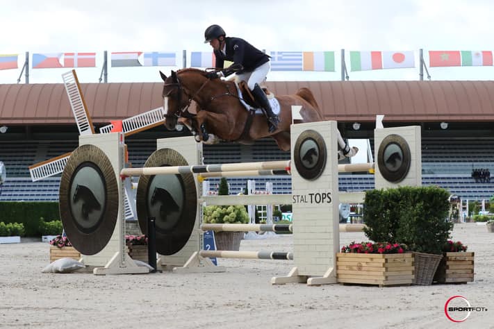 Showjumping Stallion - Escape Z